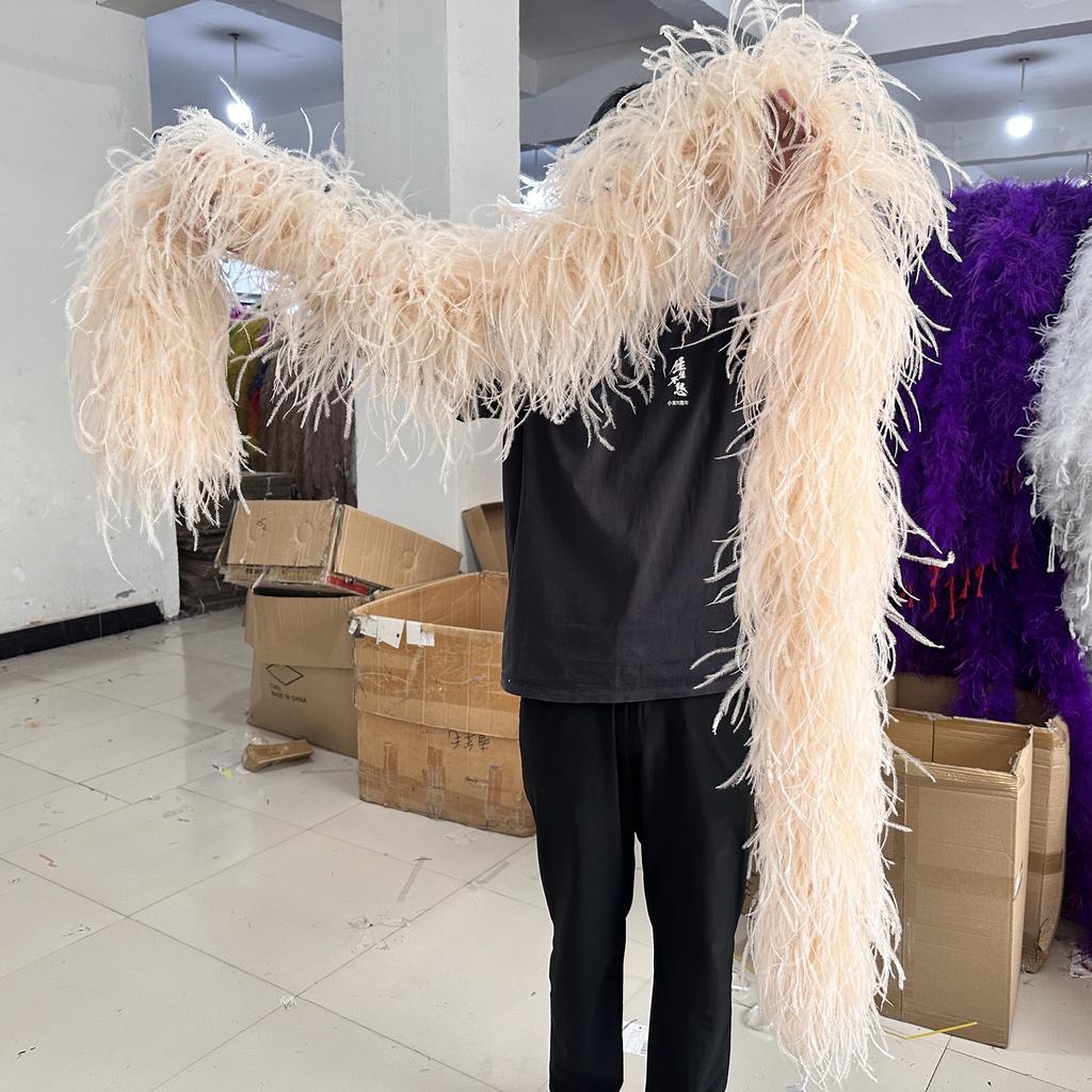 DIY 1/2/3/6/10 Ply Natural White Ostrich Feathers Boa Trim for Craft Wedding Party Festival Clothing Decoration Plumes Shawl 2M