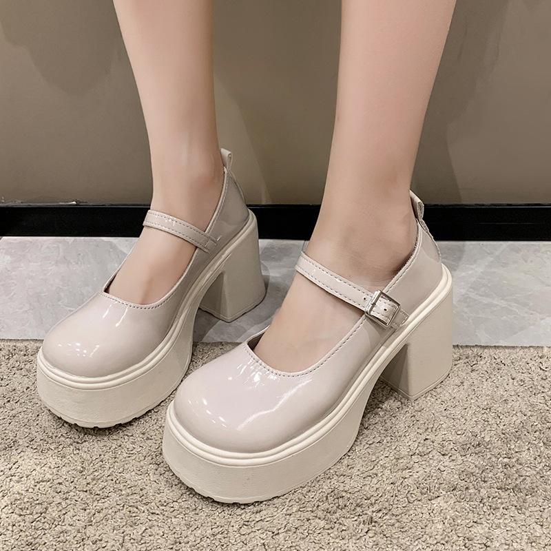 Thick Heel High Heel Small Leather Shoes 2025 Spring and Autumn New Thick Sole Heightening French Retro Mary Jane Slope Heel Single Shoes Women