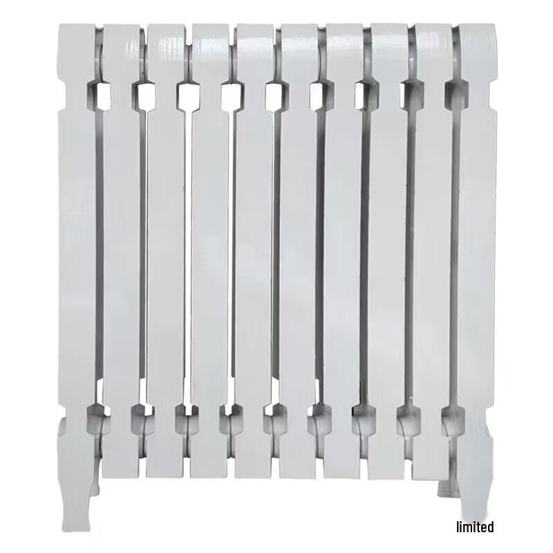 Sanda TZY2-6-8 Cast Iron Radiator