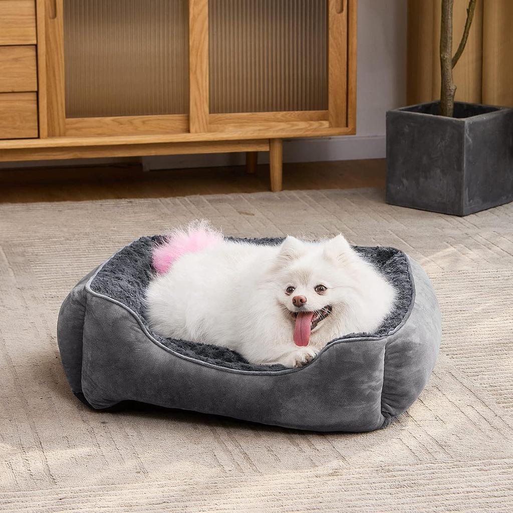 Popular Dog and Cat Bed for Small to Large Breeds: Teddy to Golden Retriever