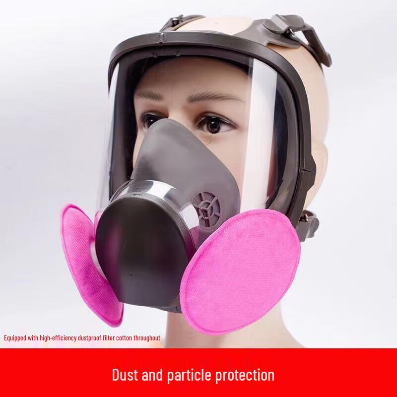 WEZHO Full Face Protective Mask