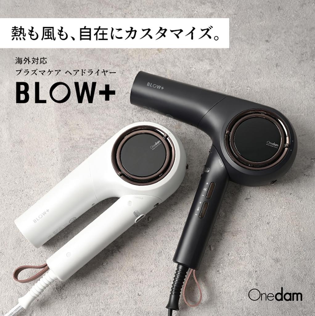 Onedam Onedam Hair Compatible with Large Air Quick From Low to High Plasma Negative Positive Static Electricity Automatic Care Salon Storage Bag