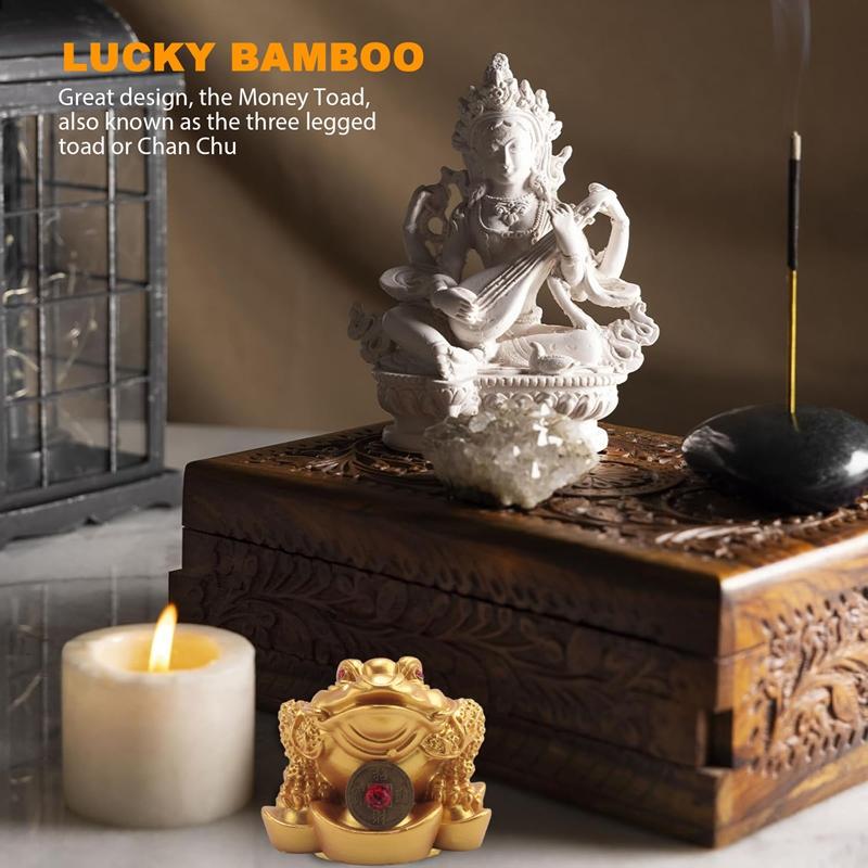 Gut-Chinesisches Feng Shui Geld Glück Vermögen Frosch Kröte Münze Heimdekoration Heim-Büro Dekoration Glücksgeschenke