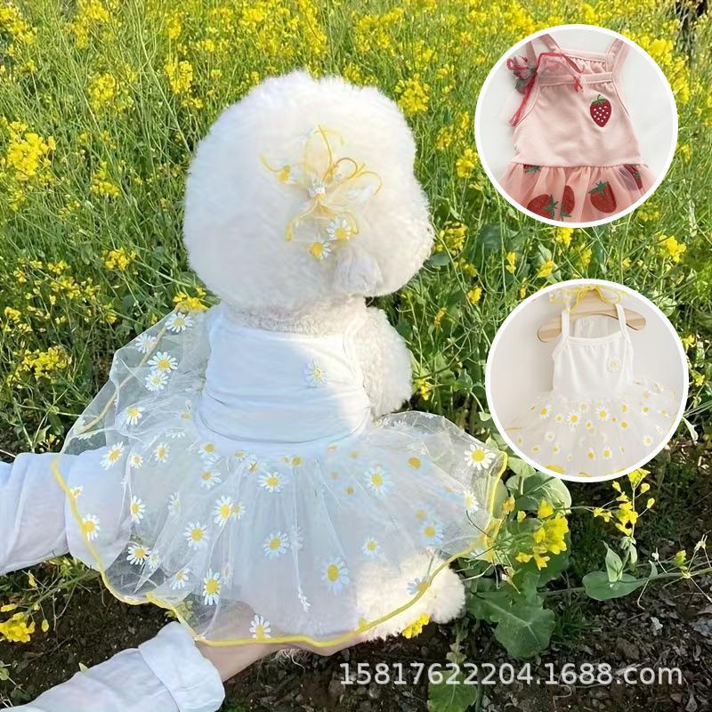 Summer Casual Skirt for Pomeranian, Bichon, Teddy & Schnauzer - Cute Dog Apparel