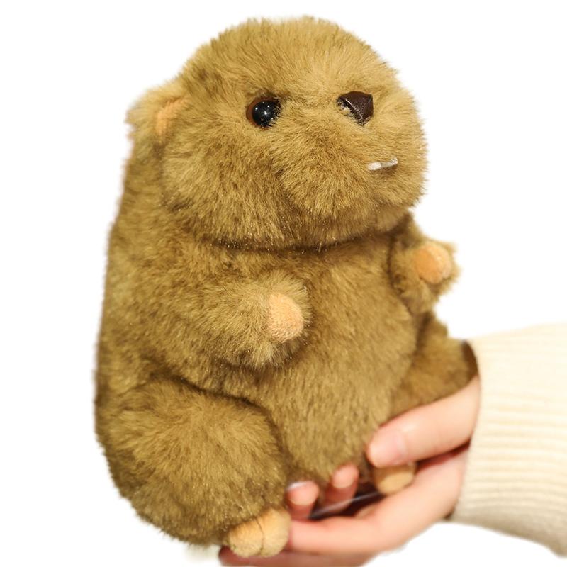 1825Cm Schattig Marmot Pluche Speelgoed Rode Sjaal Aangekleed Cartoon Bruin Dier Staande Pop Kawaii Slaap Kalmerend Cadeau 25cm
