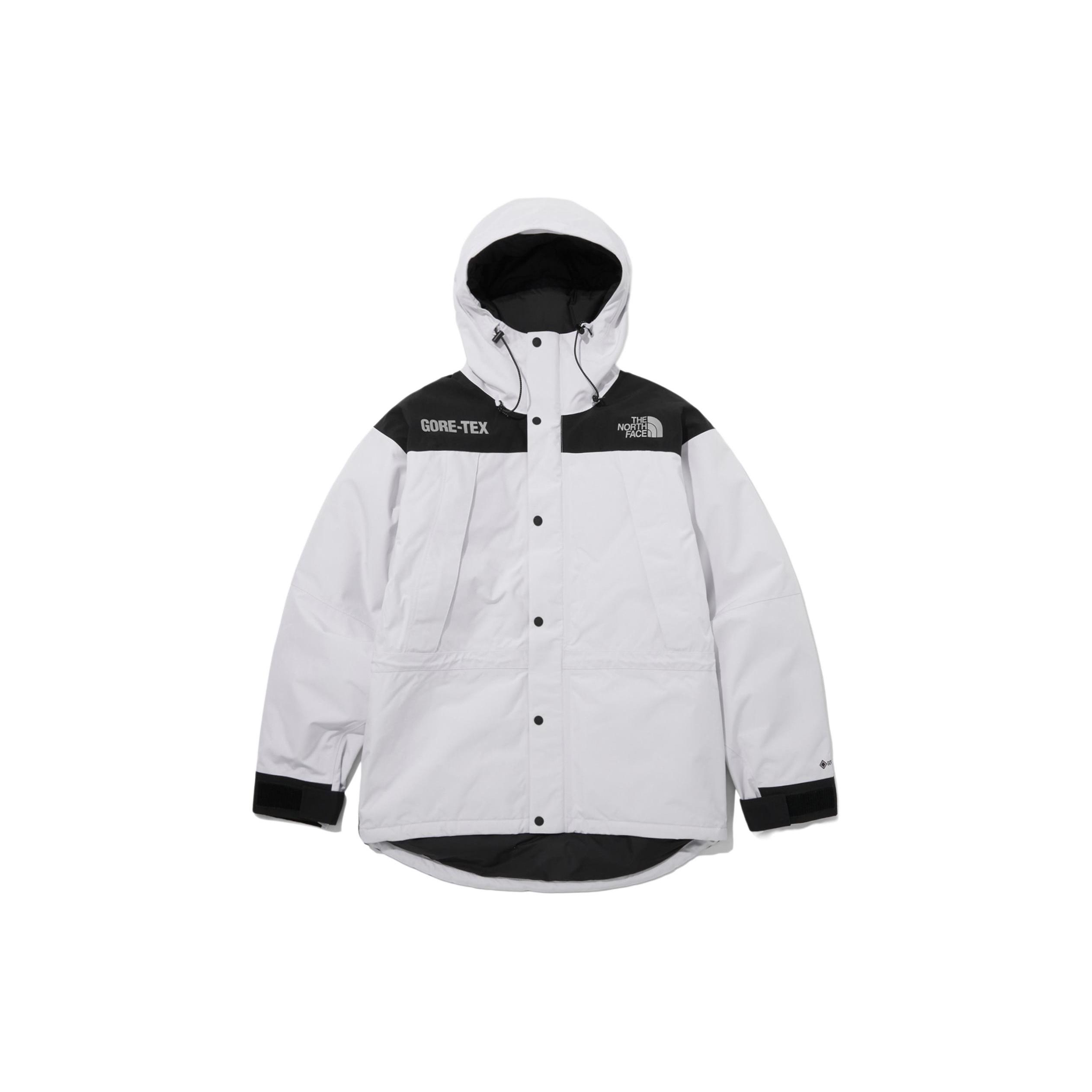 THE NORTH FACE Men`s Gore-Tex Mountain