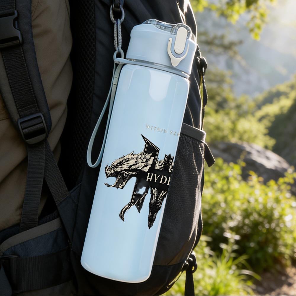 1PC Fantasy royal group vintage print 750ml colorful plastic sports water bottle leakproof pop up lid with straw for outdoor work home use