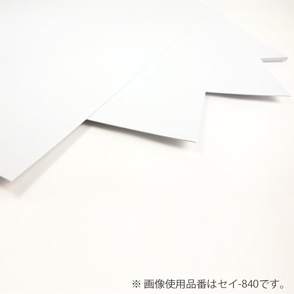 KOKUYO (KOKUYO) board plate cover A4 100 sheets sei-835