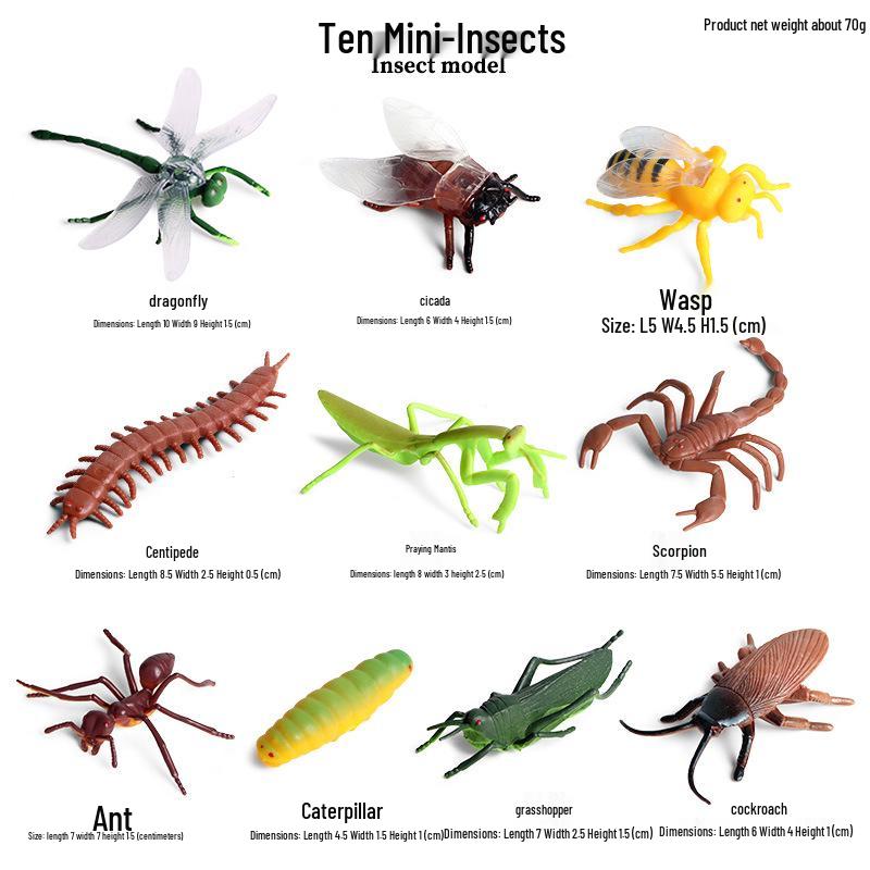 Children s Insect Simulation Model Toy Set: Mantis, Ant, Dragonfly, Bee, Centipede, Scorpion, Cicada, Caterpillar