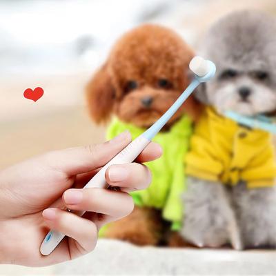 Lot de 2 brosses à dents pour chien, poils souples, petite tête, pour le nettoyage des dents des chiens