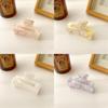 Trendy Large Acrylic Hair Clips For Girls In Fresh Pink Yellow Purple And Black