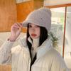 Wool Hat Women's Autumn and Winter Fleece Thickened Ear Protector Knitted Hat Thermal Cap Casual Outdoor & Christmas Wear