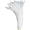 Top Quality 50 Pcs Pure White Rooster Tail Feather 30-35Cm 12-14Inch Natural Feathers Wedding Decoration Clothing Accessories