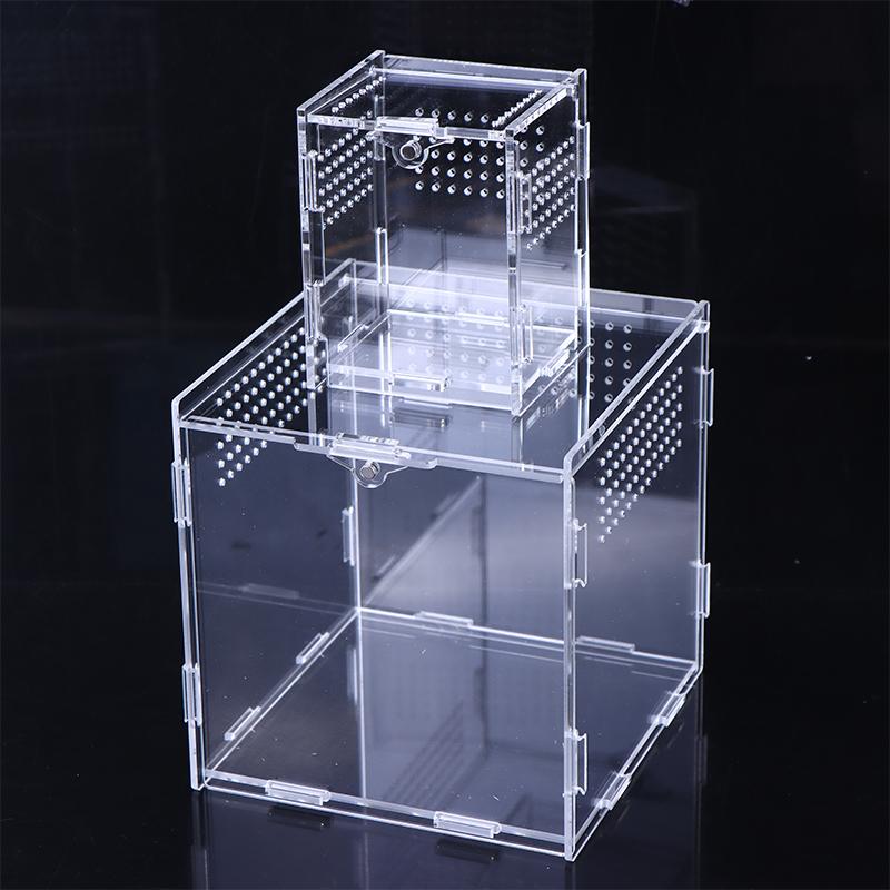 Terrarium Habitat Insect Spider Lizard Scorpion Feeding Cage Arboreal Enclosure Case Acrylic Transparent Reptile Breeding Box
