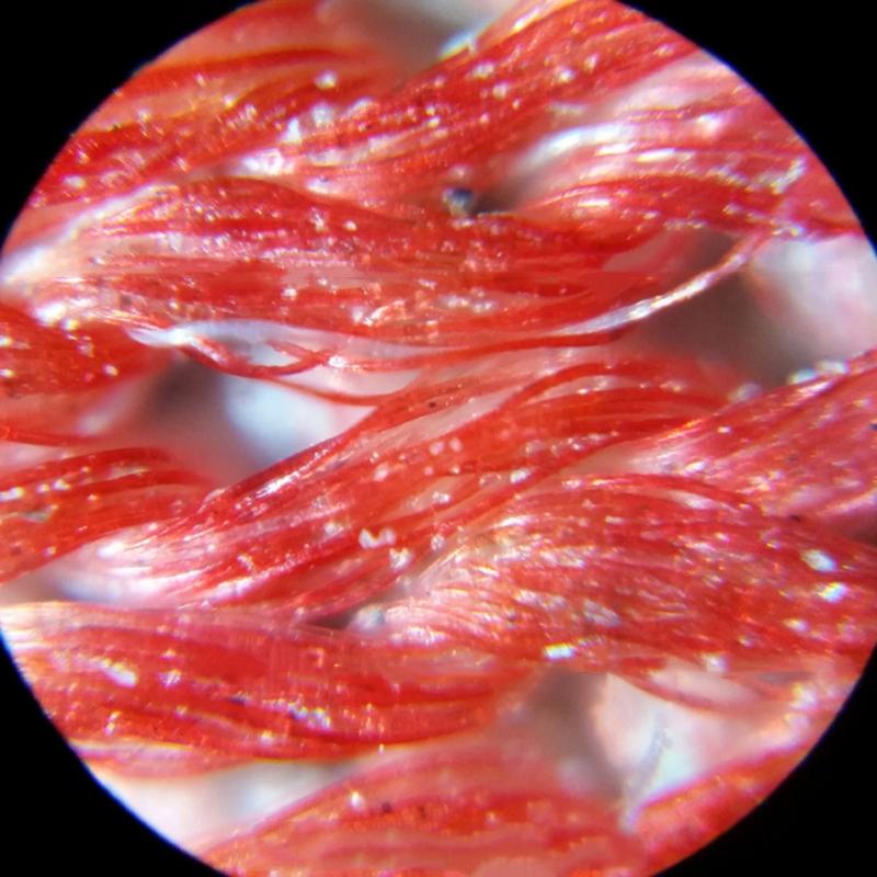 160-200X Adjustment Portable LED Microscope LED Lighted Pocket Microscope Magnifier-M25 Natural Observation Uses