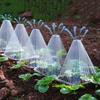 5/10/30/50/100 pz Campane da Giardino Riutilizzabili Trasparenti, Coperture a Campana in Plastica per Piantine e Protezione Serra