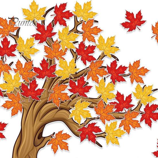 Үйдегі жалаңаш аққұбаның суреті