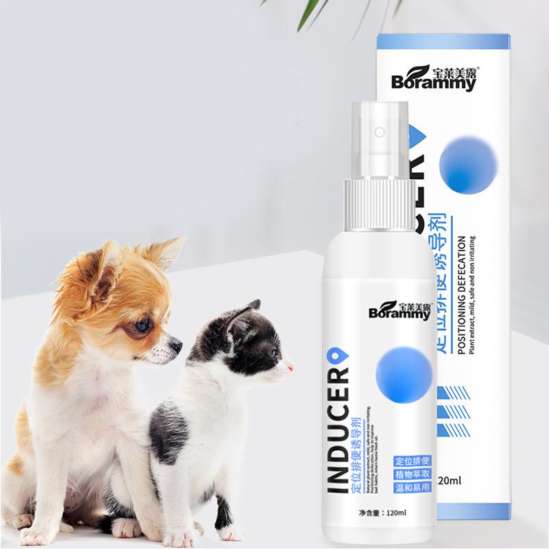 Effektives Stubenreinheitsspray für Hunde zur Standortführung für Urin und Kot