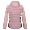 Regatta Womens/Ladies Andreson VII Hybrid Jacket