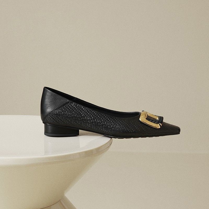 French Shallow Mouth Pointed Head Thick Heel Single Shoes Women's 202 Autumn New Super Temperament Square Head Low Heel Commuter Work Shoes