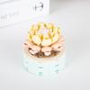 Compatible For Building Blocks Bouquet Diy Small Particles Mini Flower Potted Model Romantic Table Ornaments