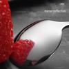 304 Stainless Steel Long Handle Dessert & Coffee Spoon