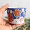 Waza no Kura Stylish Kutani Ware Soba Choko (Soba Cup) with Cherry Blossom Pattern, High-Quality Ceramic, Made in Japan