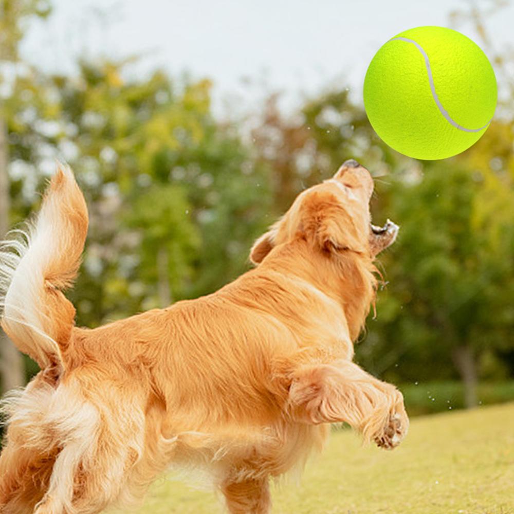 9.5  Oversize Giant Tennis Ball for Children Adult