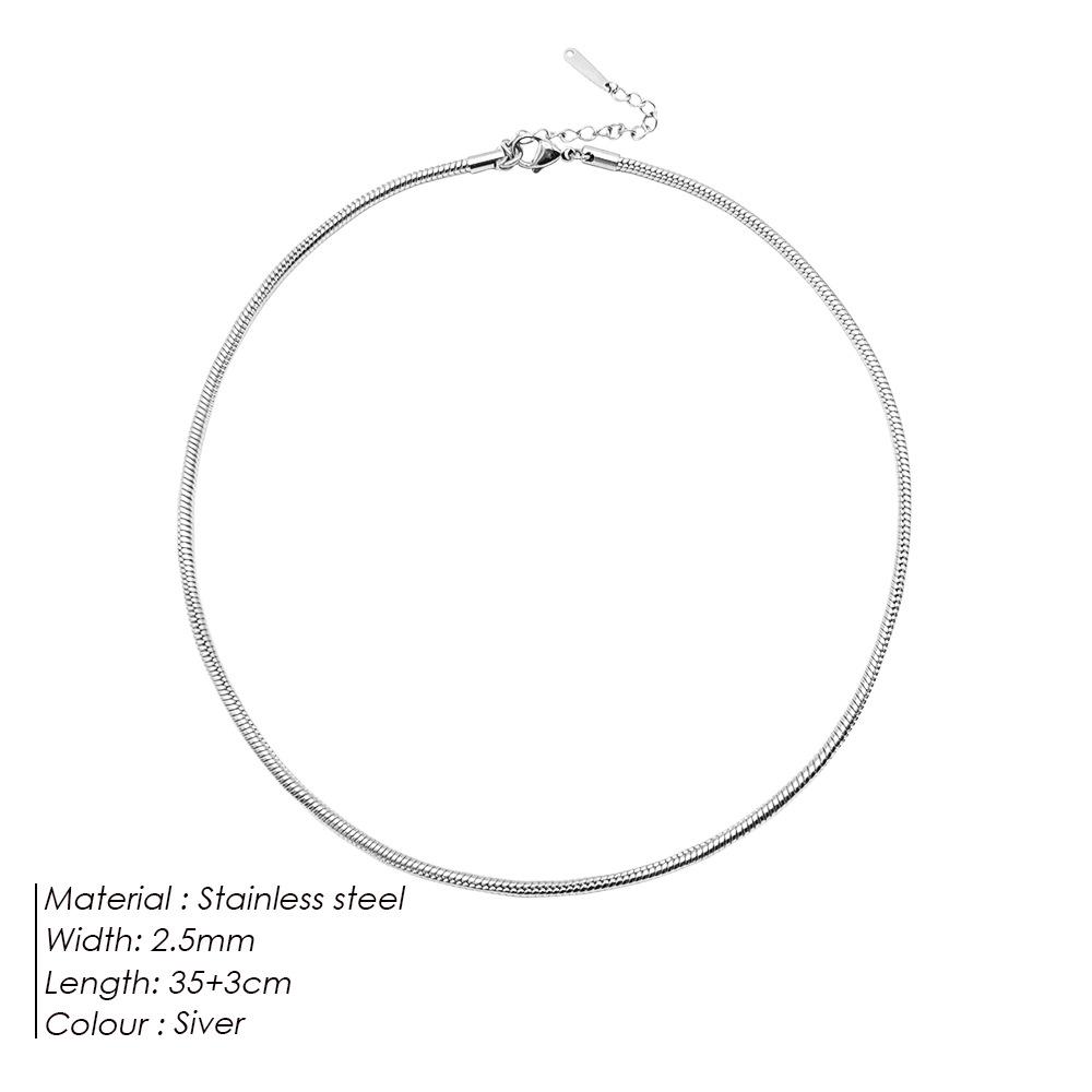 eManco Titanium Steel Round Chain Necklace - Simple European/American Style for Women and Couples, Long Snake Bone Chain, Clavicle Design.