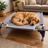 Cama Elevada para Cães com Estrutura de Metal Malha Respirável Elástica Cama para Animal de Estimação Portátil Cama de Campanha para Cães Interior/Exterior