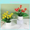 Fruit Tree Miniature Potted Plants For Home Decor With Creative Tabletop Display