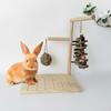 Natural Wood Rabbit Chew Toy Grinding Board with Wooden Chewing Teething Hanging Grass Ball for Indoor Engagement