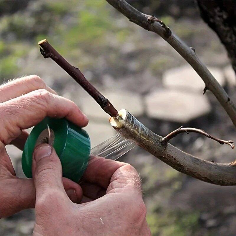 Garden Grafting Tape 2CM Self-Adhesive PE Film for Plants Horticulture Nursery Seedling Grafting