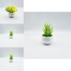 Plastic Succulent Miniature Plant Desert For Home Decor And Office Use