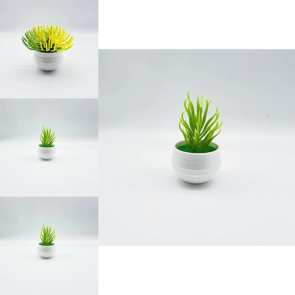 Plastic Succulent Miniature Plant Desert For Home Decor And Office Use