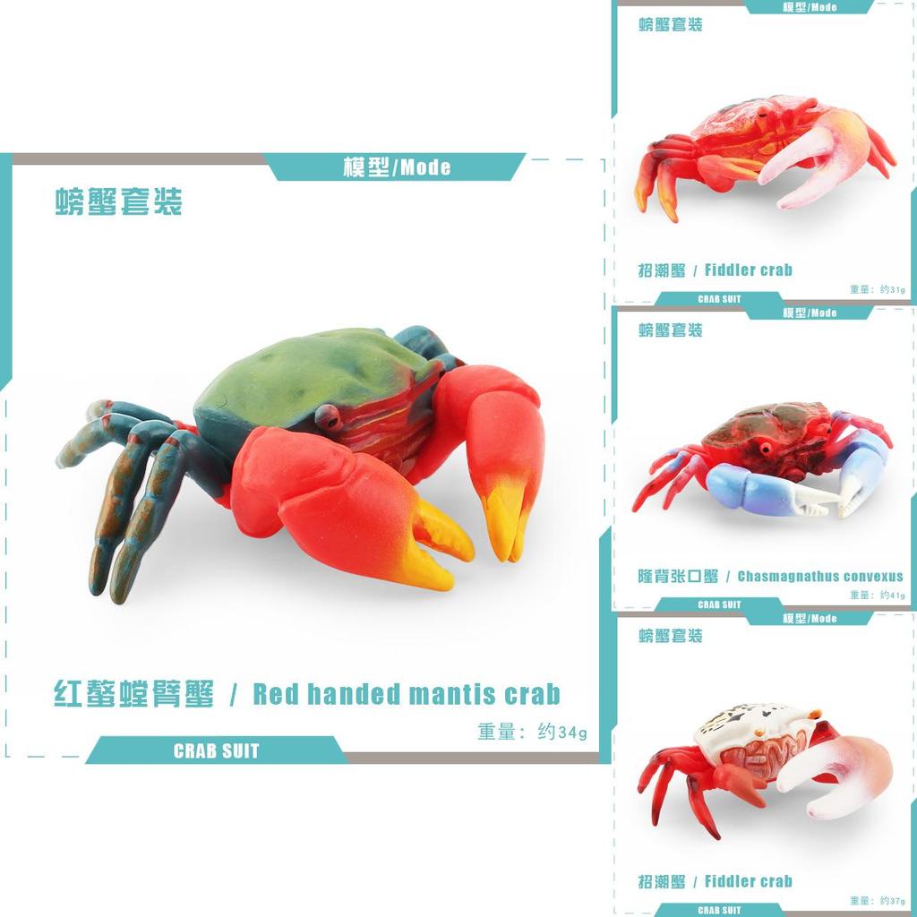 Pvc Fiddler Crab Collection Model Marine Animal Figurine For Aquarium Display And Gift