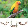 Bird Toys Wooden Swing Perch Chew Toys Perch Stand For Parrot For Finch African Grey Cockatoo Cockatiel Conure Budgerigar Mynah