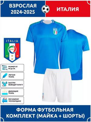 Italy National Team Adult Football Jersey 2024-2025 Champions League Edition Football Jerseys Training Suit Set