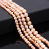 10-65Pcs Natural Freshwater Pearls Beads For DIY Necklace Bracelet Earrings Jewelry Making