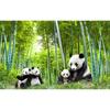 Grüner Bambus-Panda-Wandbild, 3D-kreative Fototapete, Wohnzimmer, Schlafzimmer, Küche, Restaurant, Heimdekoration, Wandaufkleber