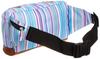 Coleman Bag CBW4041MSP MSP C-Waist (Multi-Stripe)
