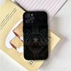 L-Lilith D-Diablo 4 Phone Case Phone Case For iPhone 16,15,14,13,12,11,Pro,X,XS,Max,XR,Plus,Mini Soft Black Cover