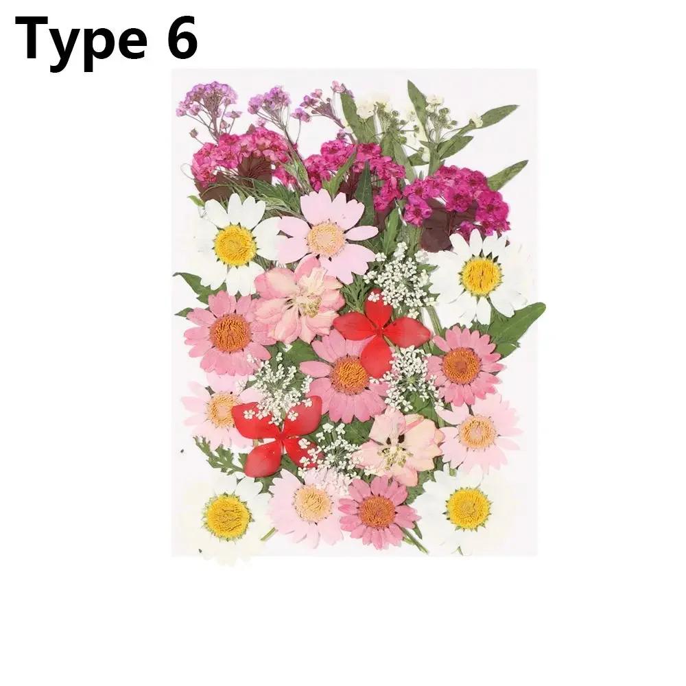 Dried Flowers UV Resin Decorative Natural Flower Stickers 3D Pressed Dried Flowers Beauty Decal Nail Art Epoxy Mold Filling