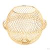 Pendant Light Ceiling Fixture