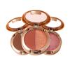 Lameila Two Color Eyeshadow Palette High Pigment Waterproof Long Lasting Matte Shimmer