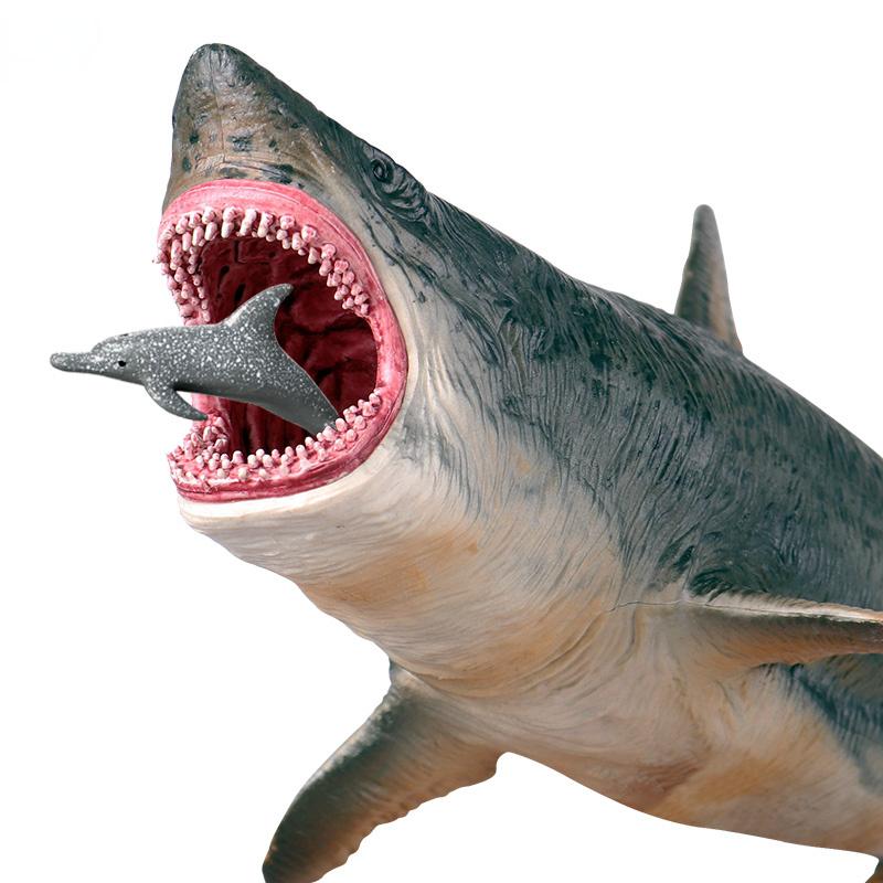 Figurine d'action Megalodon de la vie marine sauvage, animaux de l'océan classiques, grand requin, modèle de poisson, jouet de Collection en PVC, cadeau pour enfants
