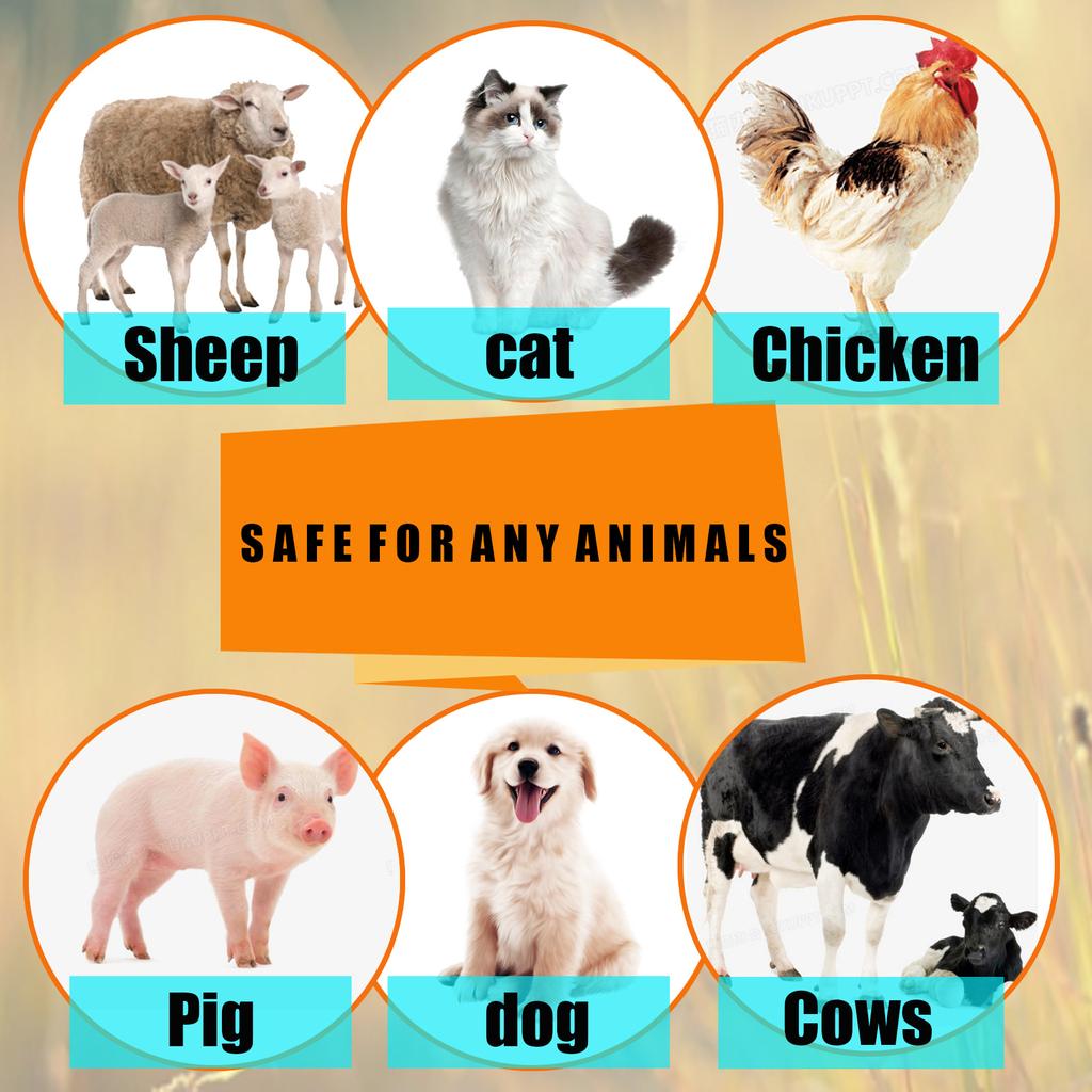 Yegbong Pet Insect Repellent Spray Flea Repellent Cat Dog In Vitro Lice Tick Stop Itch Spray