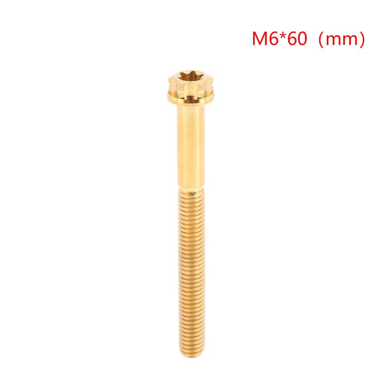 Versatile M6 Titanium Flanged Hexagon Head Bolts Suited for Bike Moto Car Projects