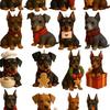 Doberman Guardian Wonderland Advent Calendar 2025 24-Day Countdown Box Acrylic Mini Dog Themed Ornaments Holiday Decoration Gift for Dog Lovers