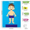 Kids' Felt Body Structure Puzzle Board With Organ Images